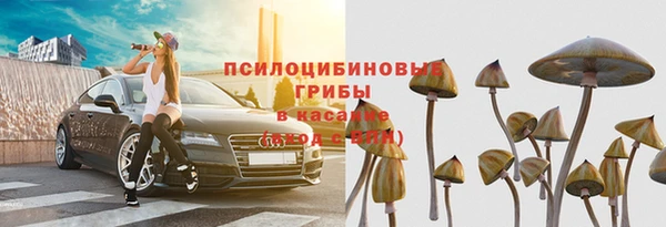 герыч Алзамай