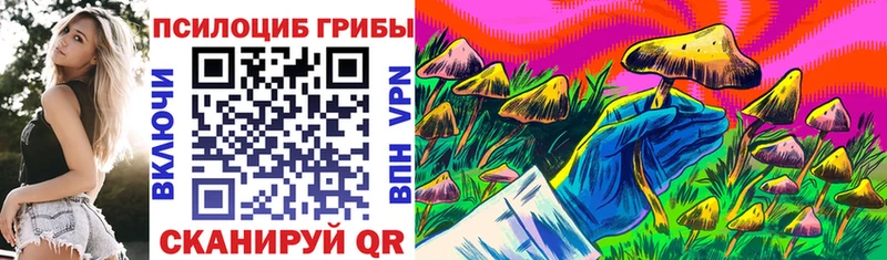 что такое   Новоузенск  Псилоцибиновые грибы Magic Shrooms 